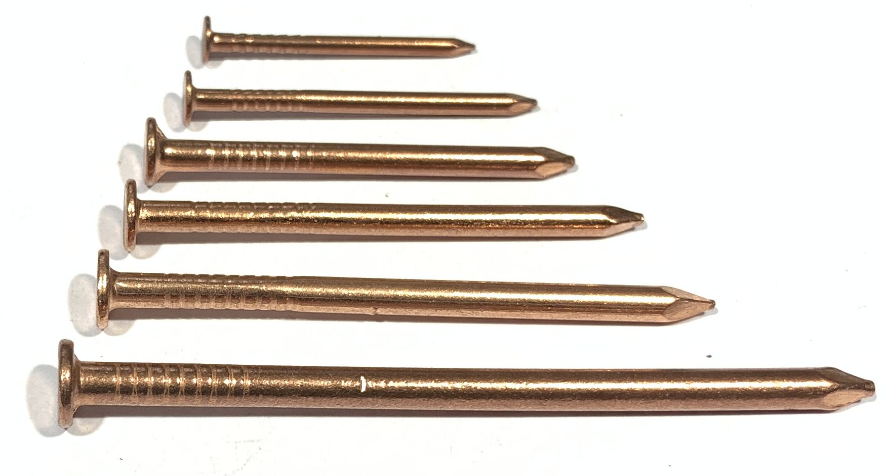 H0910 DS